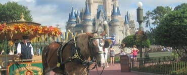 Orlando_Vacation_DisneyWorld