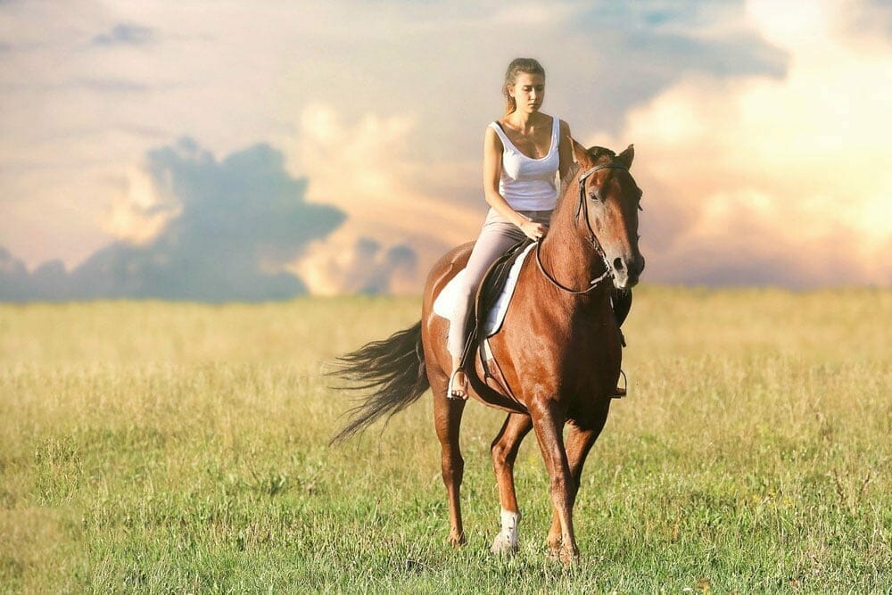 Lady horseback riding