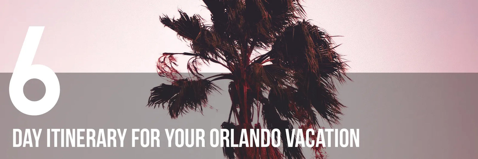 6 Day Itinerary for your Orlando Vacation