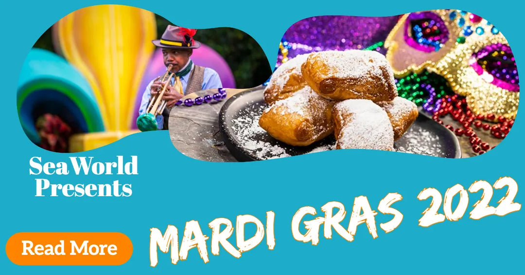 Making the Most of SeaWorld Mardi Gras 2022