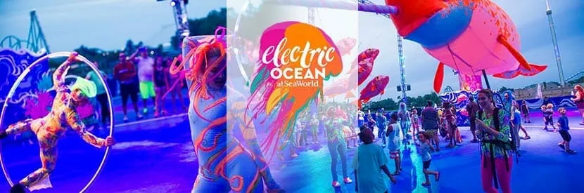 Electric Ocean at SeaWorld