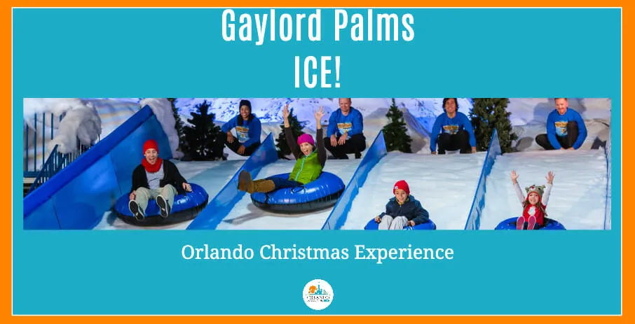 Things To Do In Orlando at Christmas Gaylor Palms Ice!