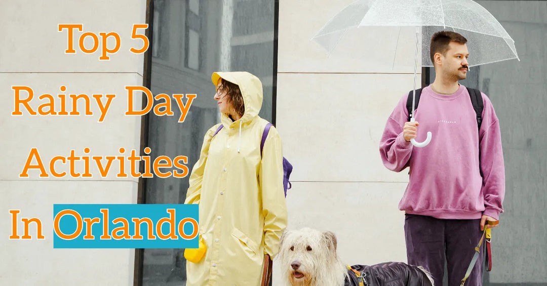 Top 5 Rainy Day Activities in Orlando