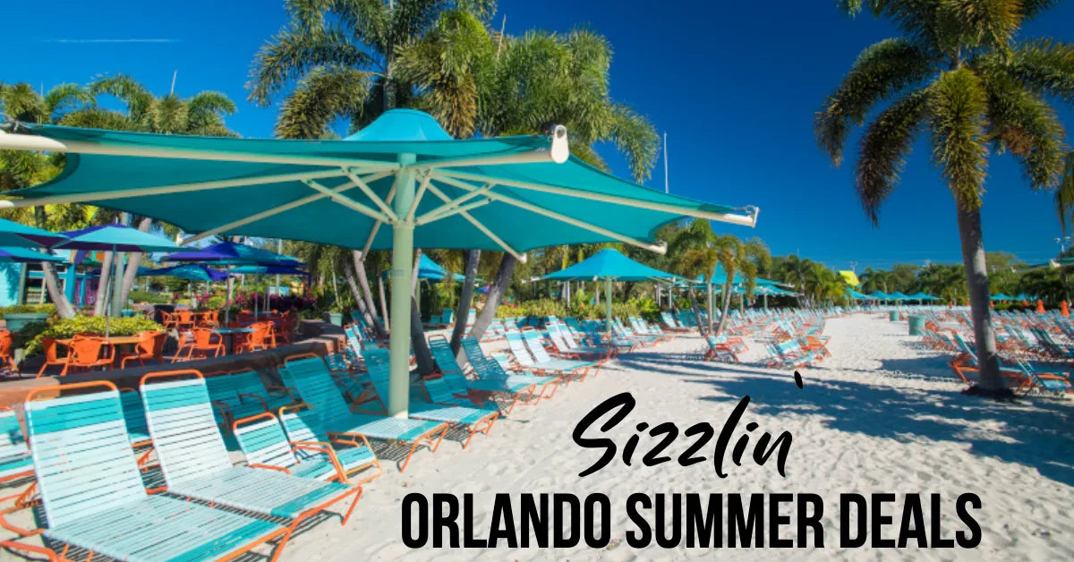 Top 3 Theme Park Packages Orlando This Summer