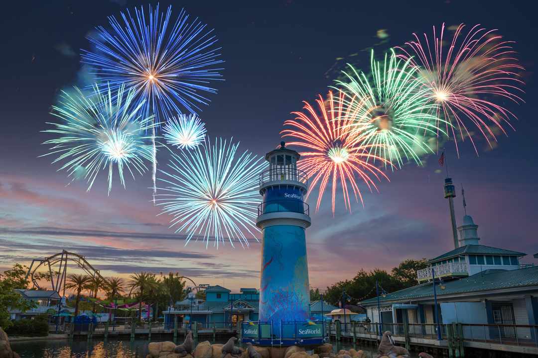 SeaWorld Orlando has a great firework show on select nights.