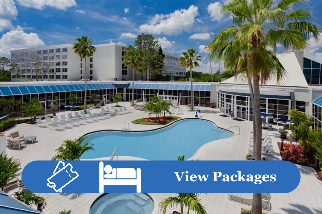 Orlando vacation packages get hotels and Disney World tickets together to save the most money.