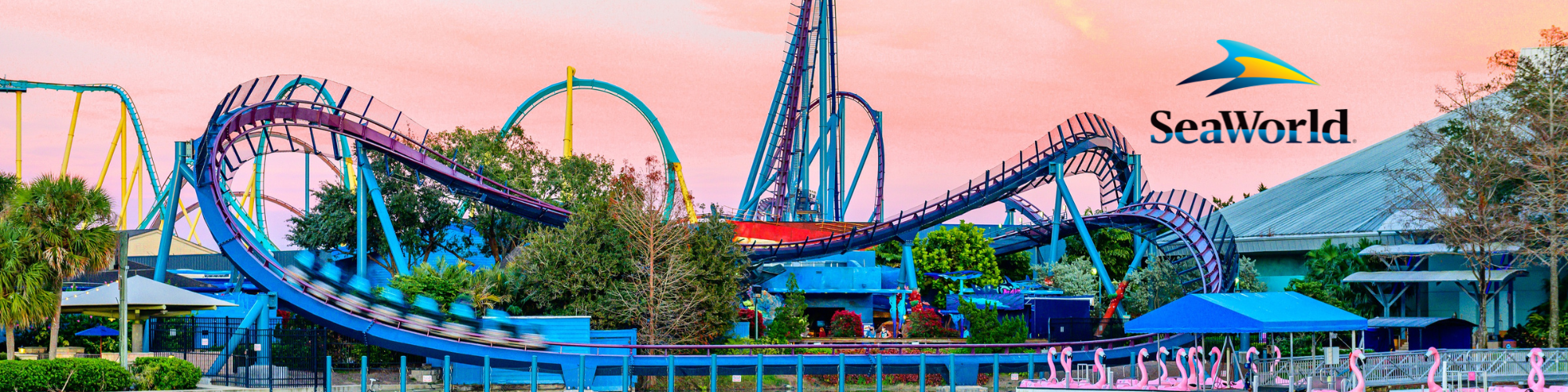 SeaWorld Orlando will offer you a full day of fun.