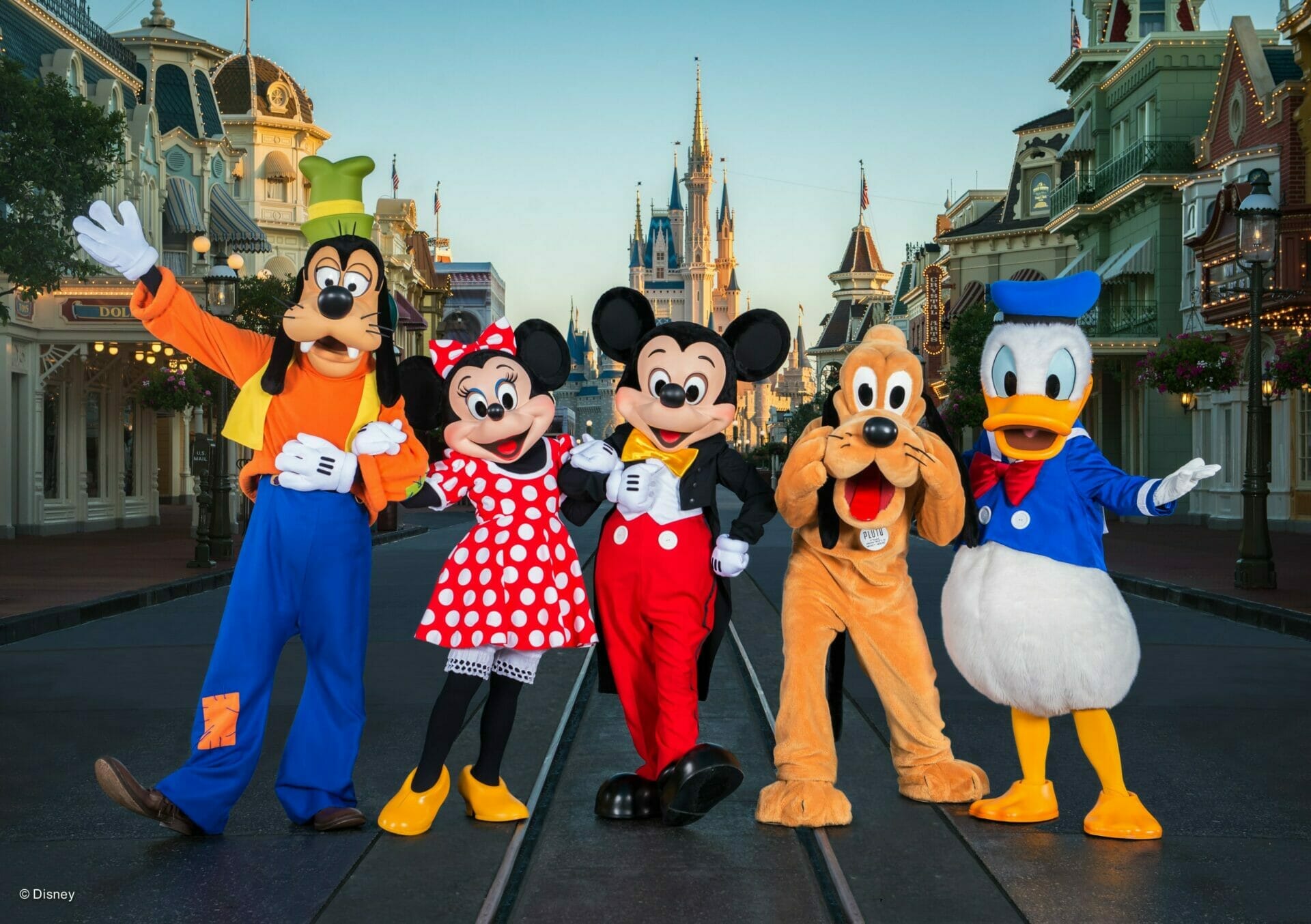 Mickey, Minnie, Pluto, Donald Duck and Goofy in front of the Disney Castle