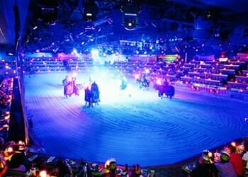 Medieval Times - Dinner Shows