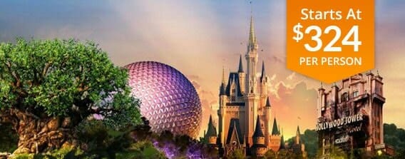 Two Day Disney World Package
