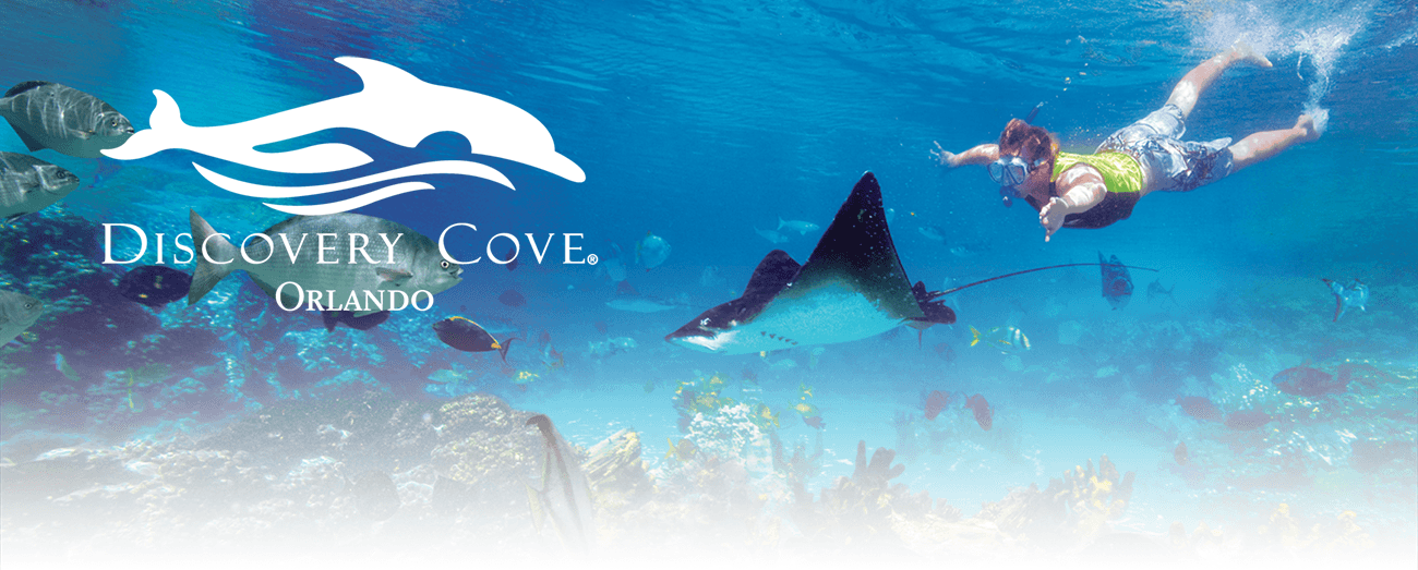 Discovery Cove - Orlando Vacation