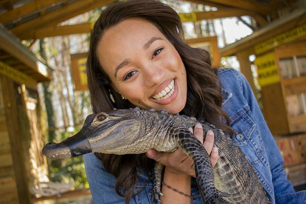 Wild Florida Woman And Gator